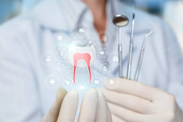 Best Dental Exams and Cleanings  in Edmonston, MD